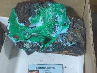 Mineral 8 - MineralExpo 2026
